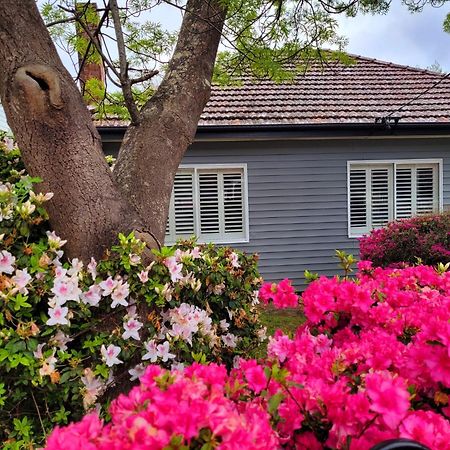La Villette Sleeps 9 Fireplace Bbq Pet Friendly Katoomba Exteriér fotografie