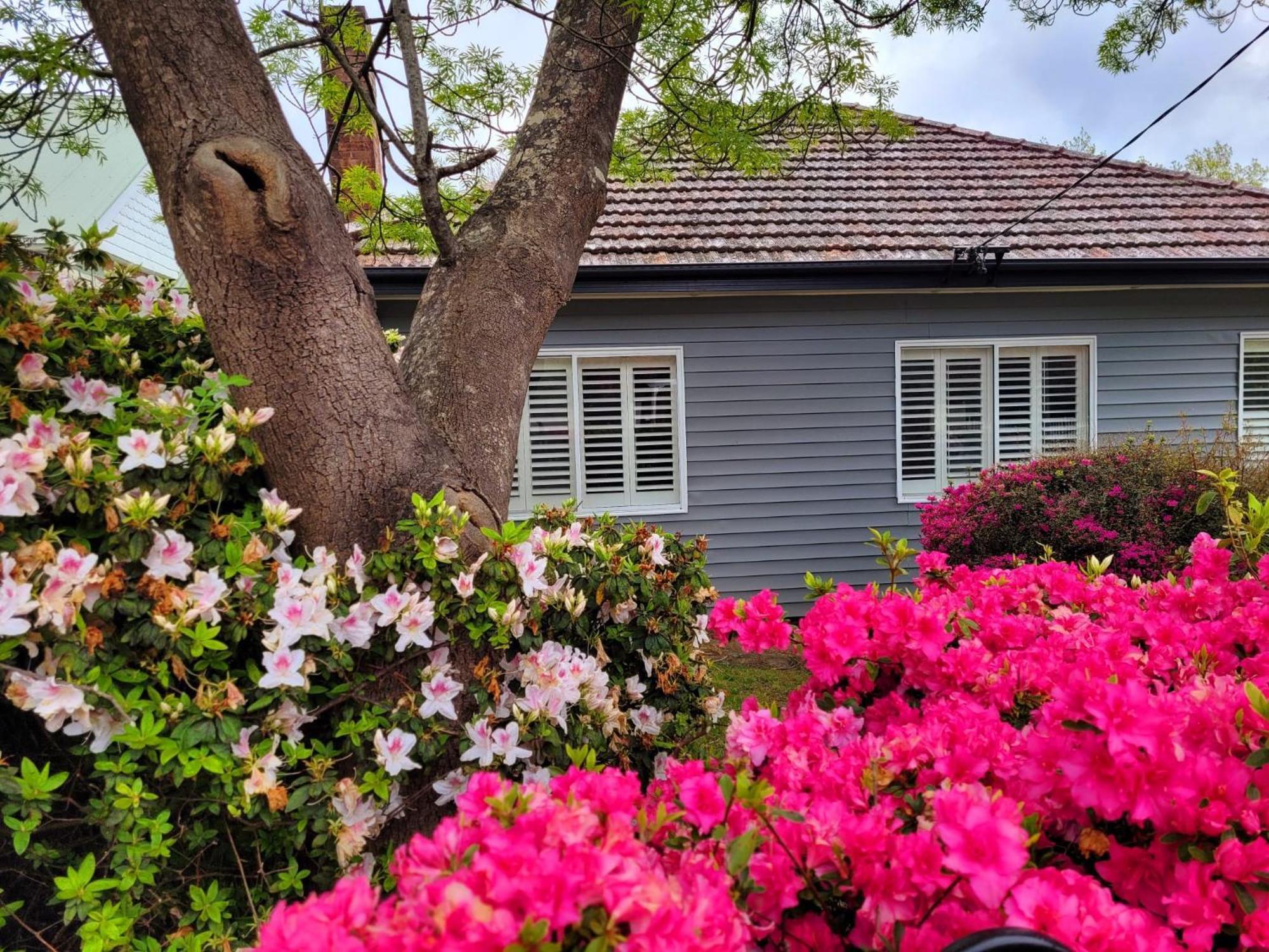 La Villette Sleeps 9 Fireplace Bbq Pet Friendly Katoomba Exteriér fotografie